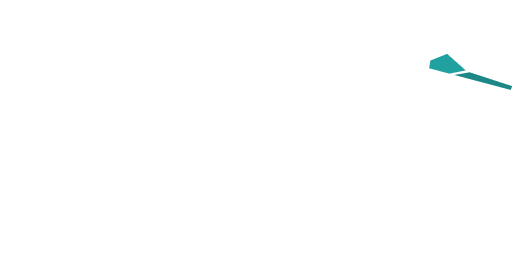 Scribbl dragonfly logo